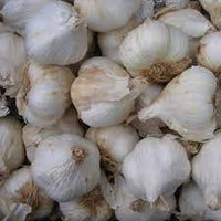 Ail (les 250 gr)