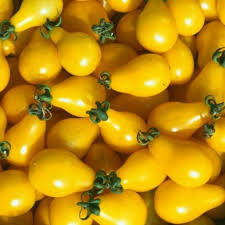 Tomate cerise poire jaune plein champs(les 250 gr)