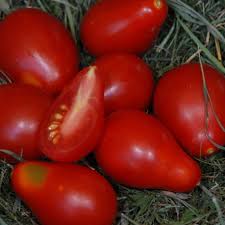 Tomate cerise poire rouge plein champs(les 250 gr)