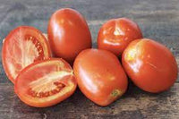 Tomate allongée