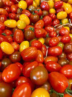 Tomate cerise multicolore