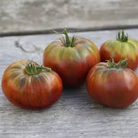 Tomate ancienne  Noire de Crimée