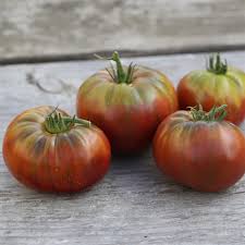Tomate ancienne  Noire de Crimée