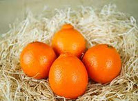 oranges de table