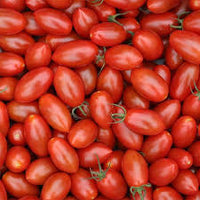 Tomate cerise allongée