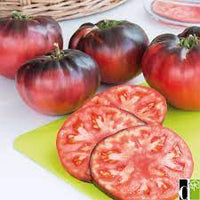 Tomate ancienne indigo blue