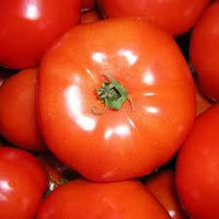 Tomate ronde